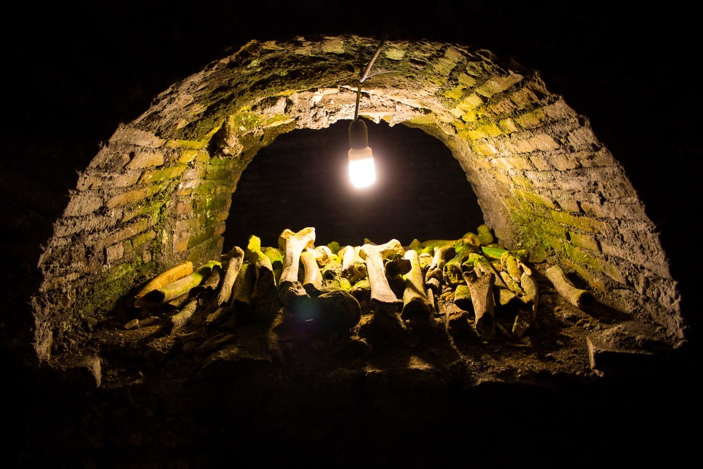 Questioning Reality in a&nbsp;Pandemic