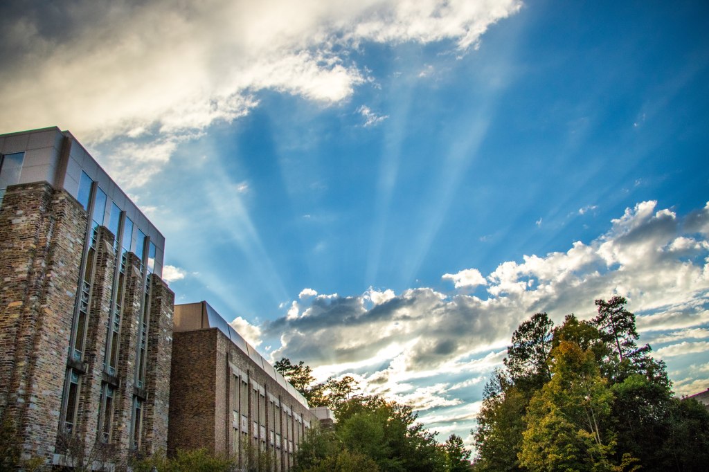 Tèt vid – Prioritization in a World of Distractions